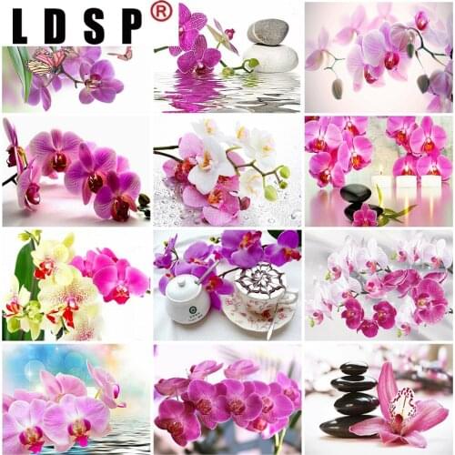 LDSP 5D DIY Diamond Painting Orchid Rhinestone Pictures Full Square/Round Diamond Embroidery Flower Crafts Kit Home Decor