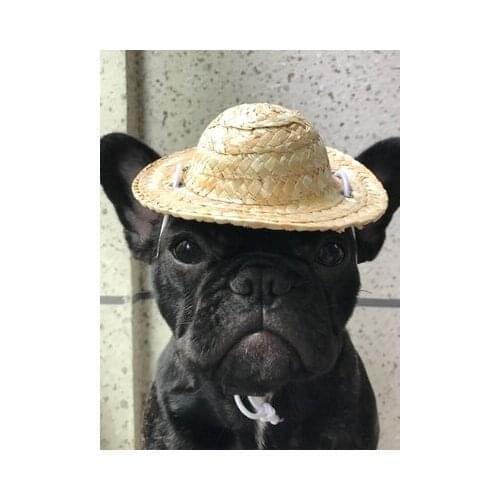 Dog straw hat Teddy pet dog Funny, decorative, shade, props supplies