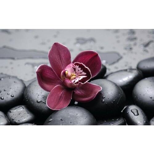 Beautiful Flower Art Film Print Silk Poster Home Wall Decor 24x36inch