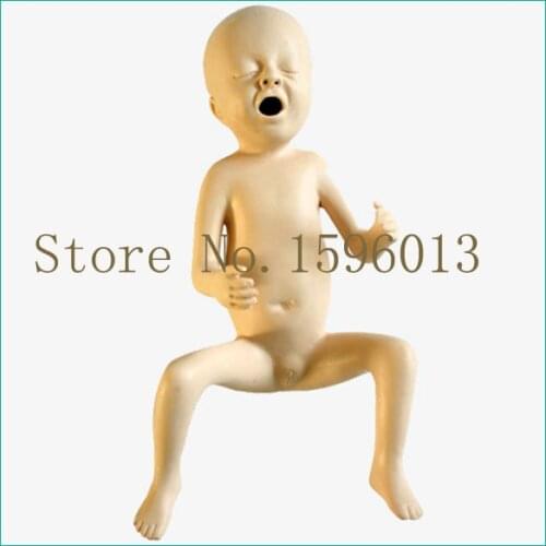 Twenty-four Weeks Premature Infant Simulator, Pronatis Model, premature baby