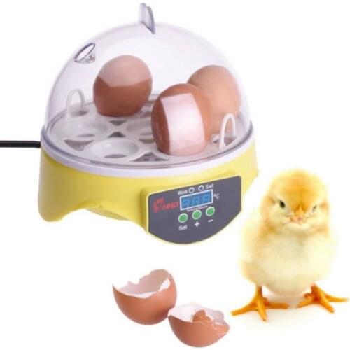 7 Eggs Digital Mini Egg Incubator Temperature Hatchery Automatic Poultry Chicken Incubator Hatcher Machine for Quail Parrot Duck