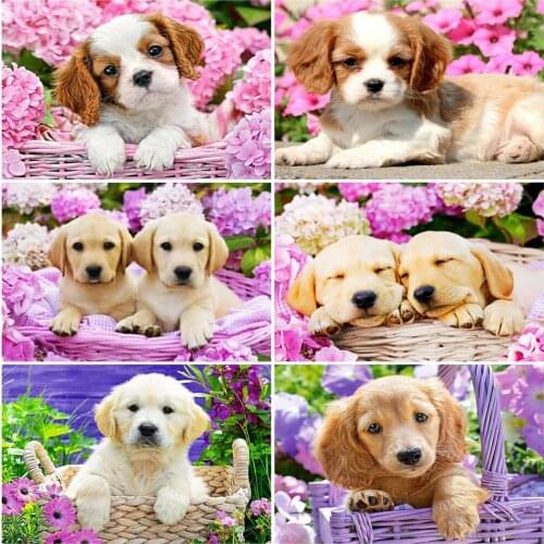 EverShine 5D Diamond Painting Dog Picture Of Rhinestones Diamond Mosaic Animal Full Square Embroidery Cross Stitch Handicraft