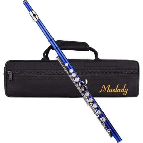 Muslady Closed Hole C Flute 16 Keys Wind Instrument with Carry Case Flute Stand Cleaning Cloth Mini Screwdriver Cleaning Rod
