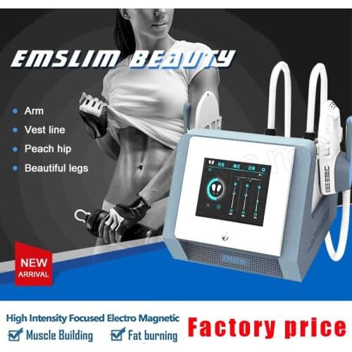 Free Shipping Factory Sale HIEMT Emslim Electromagnetic Muscle Stimulator Sliming Device EMS No Pain