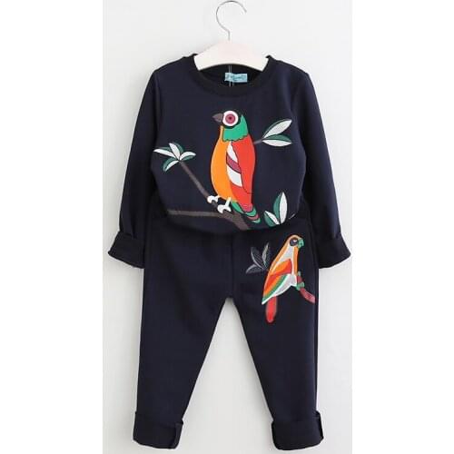 Toddler Kids Girls Boys Clothes Sets Kids Clothing Sports Outfits Suit Baby Children Sweatershirts+Pants 2Pcs Boutique Outfits