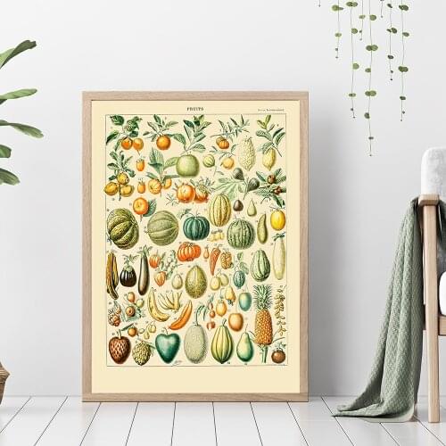Botanical Educational Poster Autumn Fall Vegetable Pumpkin Squash Fruits 19th Century Chart Diagram Wall Art Canvas Painting