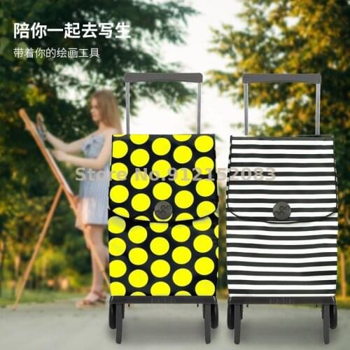 Spain Imported Folding Portable Fashion Two-wheeled Shopping Household Grocery Shopping Trolley Trolley 42l