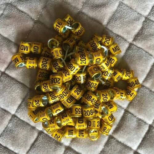 2020 MD yellow pigeon rings birds ring 8mm inner ring customized