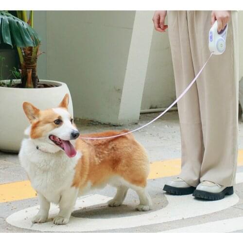 3/5m Durable Lead Leash Automatic Retractable Nylon Dogs Extension Lead Roulette