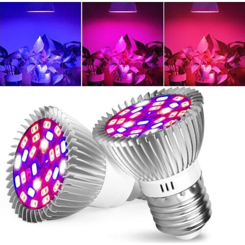 FENGLAIYI Plant Lamps