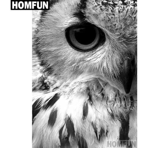HOMFUN Full Square/Round Drill 5D DIY Diamond Painting "Owl Eye" 3D Embroidery Cross Stitch 5D Decor Gift A00524