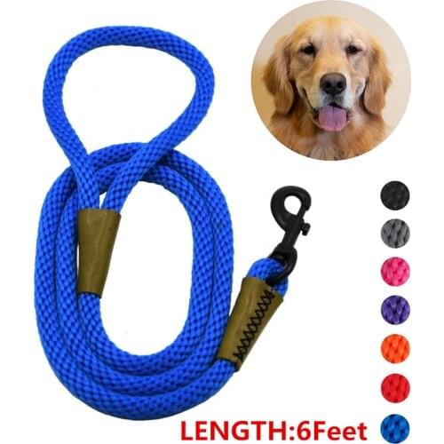 Durable Braided Large Dog Leash Golden Medium Big Dog Collar Leashes Strong Lead Rope For Labrador Husky Rottweiler