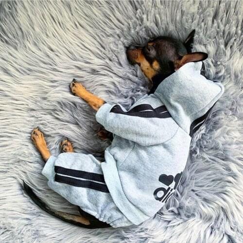 Doagk Clothes For Cats