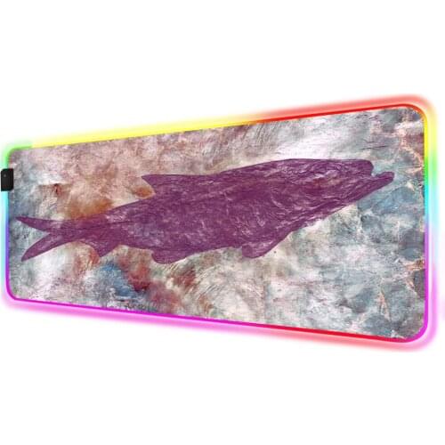 Mairuige Marble Pattern Life Fossil Fish RGB Various Large Size Mousepad LED Backlight USB Computer Desk Pad Custom Mousepad XXL