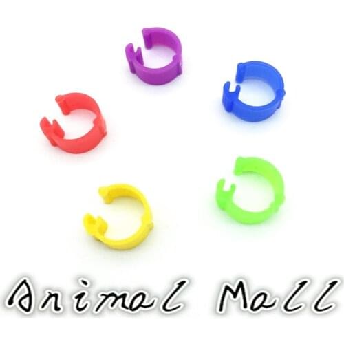 200 pcs Birds foot ring Pigeon Rings Small Poultry Quail Pheasant Chicken foot rings Identification 5 colors 10 mm x 6 mm