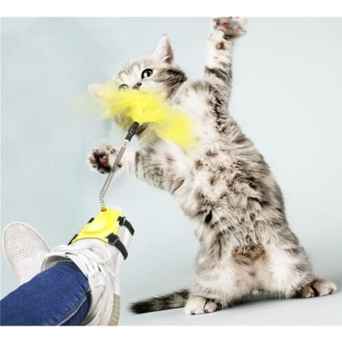 Pet Supplies Environmental Protection Dog Stick Elastic Plastic Feather Strong Durable Interaction Creative Trainer Cat Toy Pug