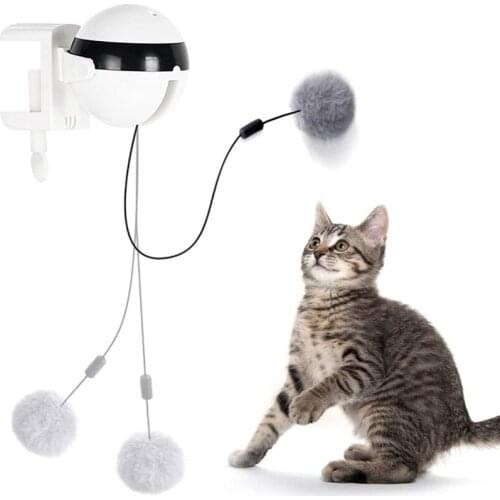 Freeoptimistic Products For Cats