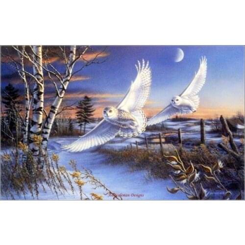 Embroidery Counted Cross Stitch Kits Needlework - Crafts 14 ct DMC Color DIY Arts Handmade Decor - Crescendo