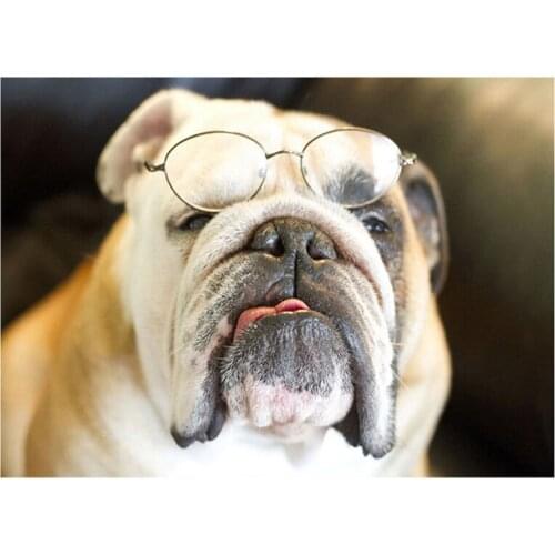 Diamond Painting French bulldog Diy 5D Diamond Embroidery Mosaic Diamond Full square round rhinestone decoration wall artZP-2676