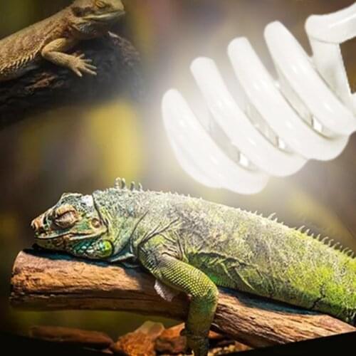 Hokerbat Terrarium Lamps