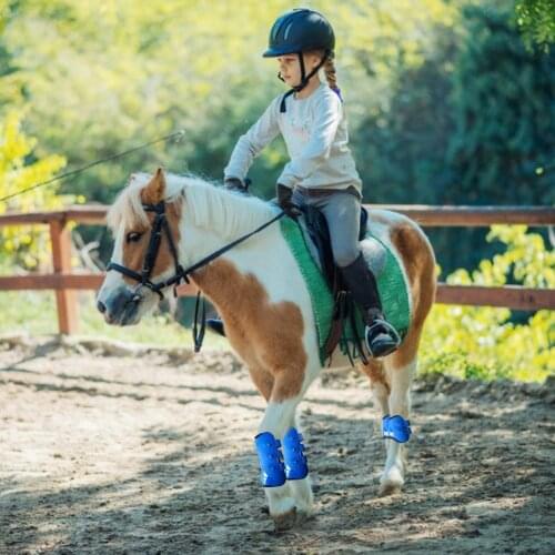 Horse Fly Leg Guard Set Adjustable Tightness Protective Boots PU Horse Front/Rear Leg Boots Hock Protectors Equestrian Equipment