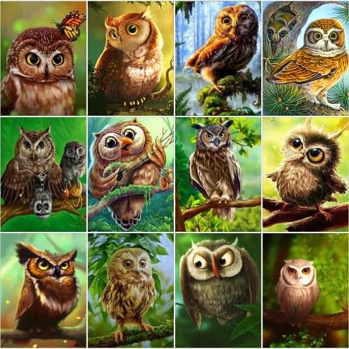 EverShine DIY Diamond Embroidery Owl Rhinestones Diamond Painting Animal Full Square Mosaic Spring Cross Stitch Handmade Hobby