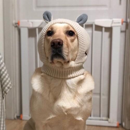 DUOMASUMI Hats For Dogs