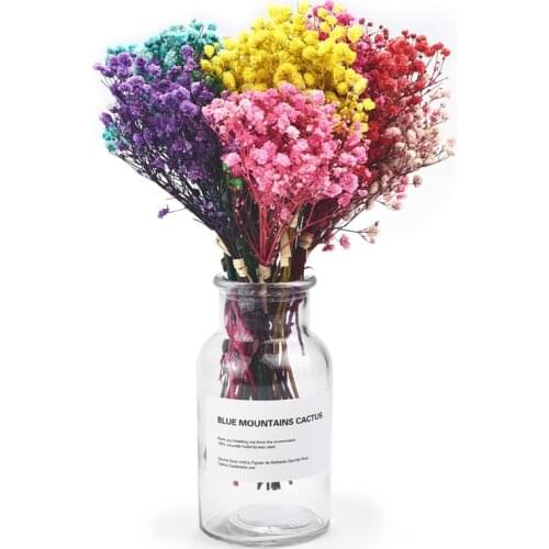 Gypsophila A Bunch Of Mini Artificial Dried Flowers Dyeing Natural Furniture Decoration Mariage Bouquet Dry Flower Decoration