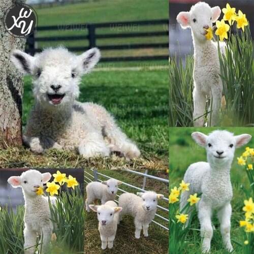 5D White Sheep Diamond Painting for Adults Cute Animals Cross Stitch Kits Diamond Full Drill Round Square Embroidery Accessories