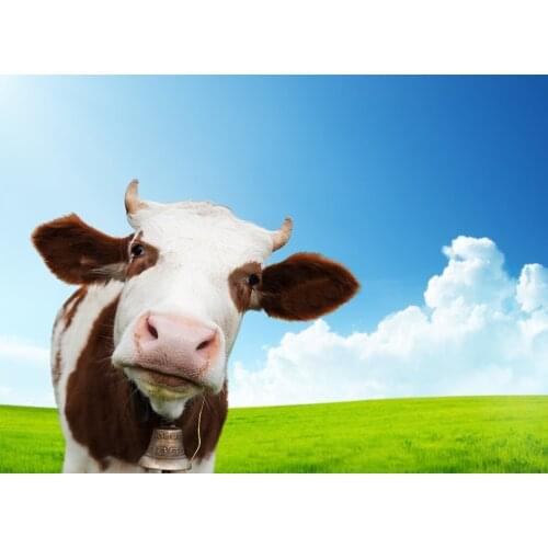 Animal Cow Printed Fabric 11CT Cross-Stitch Patterns DIY Embroidery Sewing Needlework Knitting Handmade Jewelry Package Design