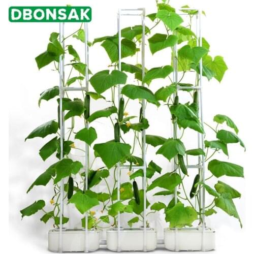 Soilless Cultivation Automatic Watering Growing Equipment Water Culture Box Nursery Pot Balcony Desktop Vegetable Grow Box