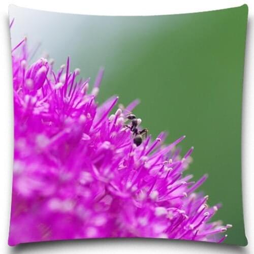 Animals insect black Ant plant Pillow case Lovely red Ant Cotton polyester bedroom/chair seat 16 18 20 inches 9 style