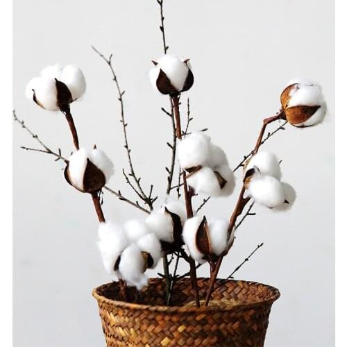 5 Head Artificial Cotton Flowers Branch DIY Artificial Dried Flowers Wedding Decoration Party Home Hotel Decor Flowers