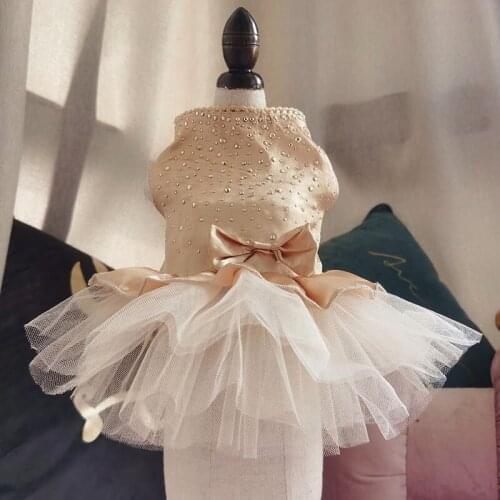 Summer Pet Clothes Dot Dog Dress For Dogs Skirt Summer Princess Dog Wedding Dresses York Clothes For Dogs Skirts Pet Cat Dress