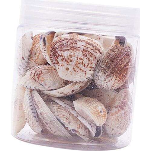 Декоративные ракушки MagiDeal China At AliExpress