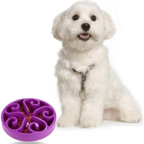 Anti Choke Bowl Slow Eating Pet Bowl Healthy Prevent Choking Gluttony Obesity Puzzle Feeder Pet Dogs & Cats Feeding and Watering