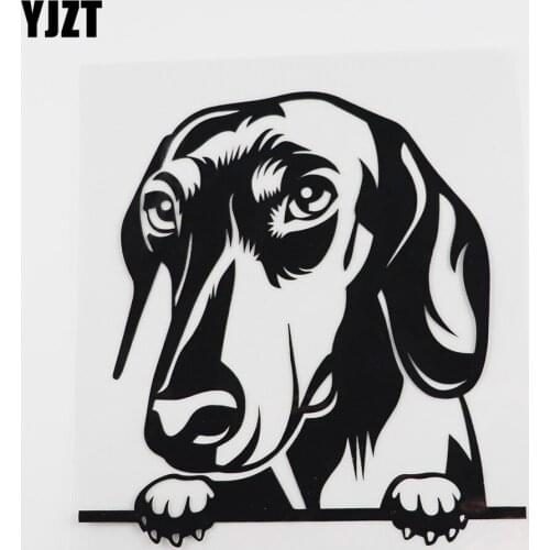YJZT 15.2CMX15.9CM Dachshund Car Sticker Peeking Dog Vinyl Decal Black/Silver 8A-0055