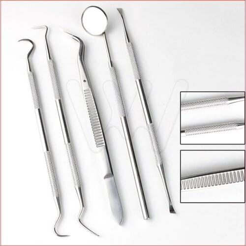 5pcs/Lot Stainless Dental Oral Cavity Checker Tool Set Kit Teeth Clean Hygiene