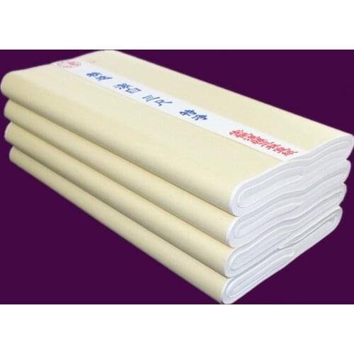 Raw Xuan Paper for Chinese Calligraphy Brush Writing and Chinese Painting Practice Regular Script Rice Paper Painting Xuan Paper