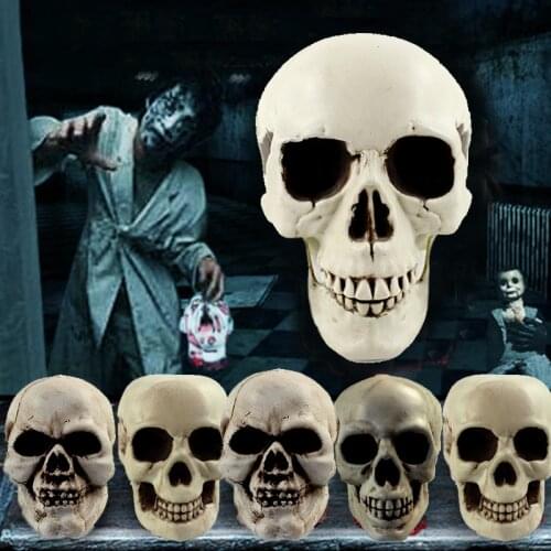 DIY Artificial Plastic Skull Halloween Decor Bone Head Craft Hanging Home Decorations Festival Party Supplies