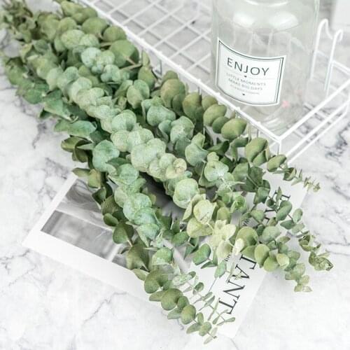 10PCS/Bouquet Natural Eucalyptus Leaves Branches Stems Dried Flower Real Palnt DIY Wedding Ornament Party Home Decor Supplies