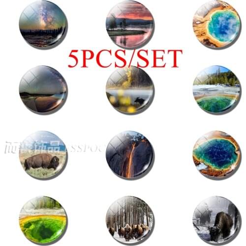5PCS/SET Fashion Yellowstone National Park 25MM Glass Cabochon Dome Animal Landscape Ornaments Making Accessories Gift