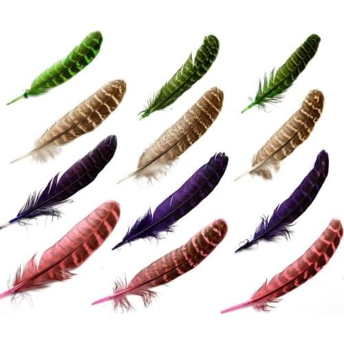 Nice 25pcs Hen Pheasant Wing Feathers Handmade Art Display Embellishments Headdress Accessories for Party Decor DIY Craft Making