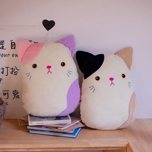 Sweet cat Macarone color feels great Pillow