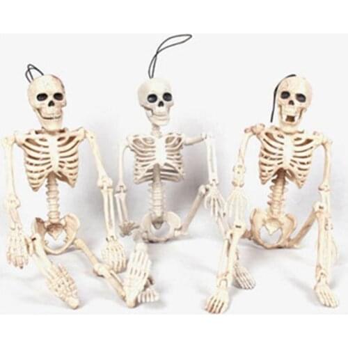 40CM Halloween Horror Decor Flexible Human Anatomical Anatomy Bone Skeleton Model Medical Wholesale Medical Learn Aid Anatomy