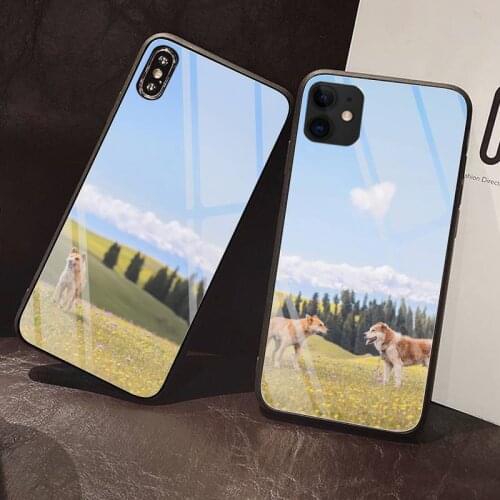 Dogs and wolves in nature Phone Case Tempered Glass For iPhone 12 Pro Max Mini 11 Pro XR XS MAX 8 X 7 6S 6 Plus SE 2020 case