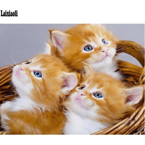 Diamond Embroidery Orange Cats Picture of Rhinestone 5D Full Square Drill Diamond Painting cute kitten Handmade Craft kids gift