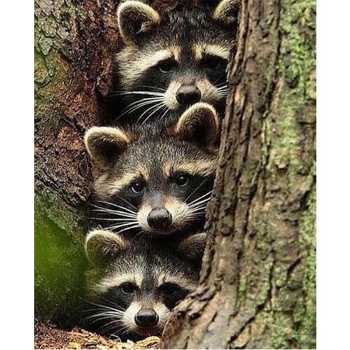 Full Square/Round Drill 5D DIY Diamond Painting "Animal raccoon" 3D Embroidery Cross Stitch art picture home decoration TY846