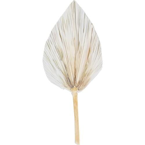 Hanging Decoration Palm Leaf Dried Flower Wedding Wall Reception Party Art For Arch Arrangement Fan Leaves
