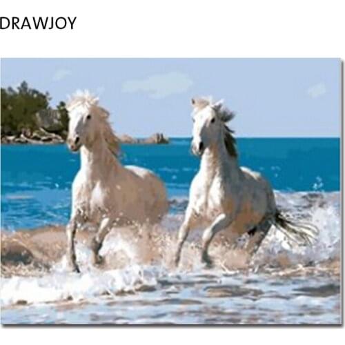 DRAWJOY Framed DIY Painting By Numbers Of Horse Painting & Calligraphy Home Decor For Living Room GX8863 40*50cm
